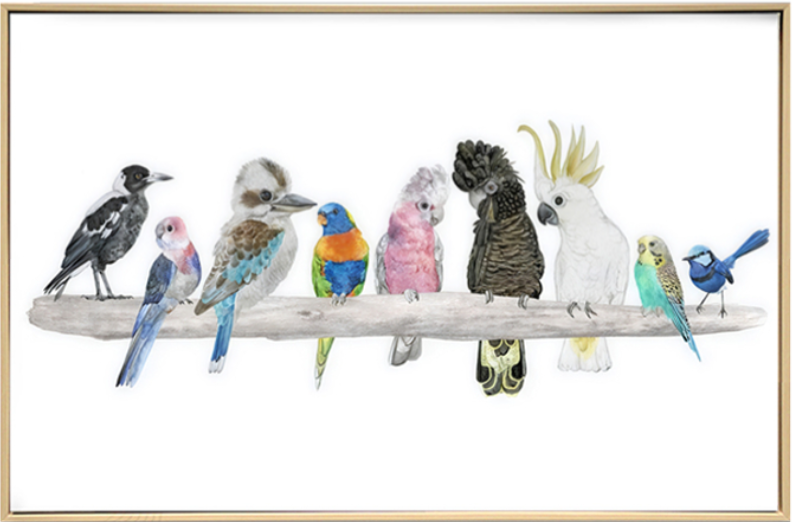 Australian birds canvas